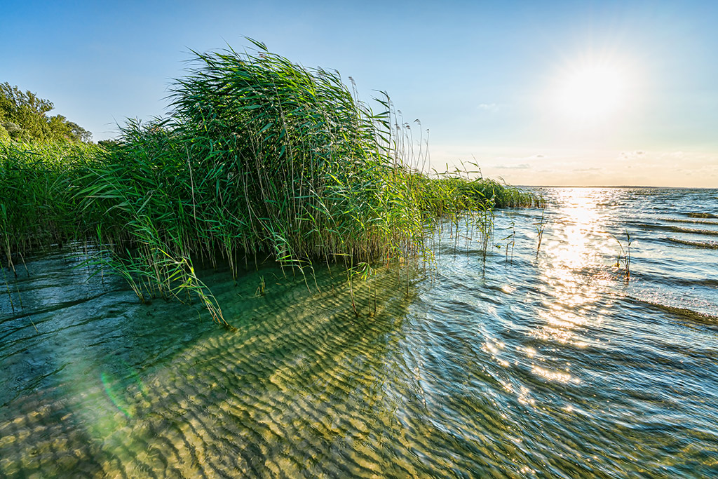 Müritz - Deutschland