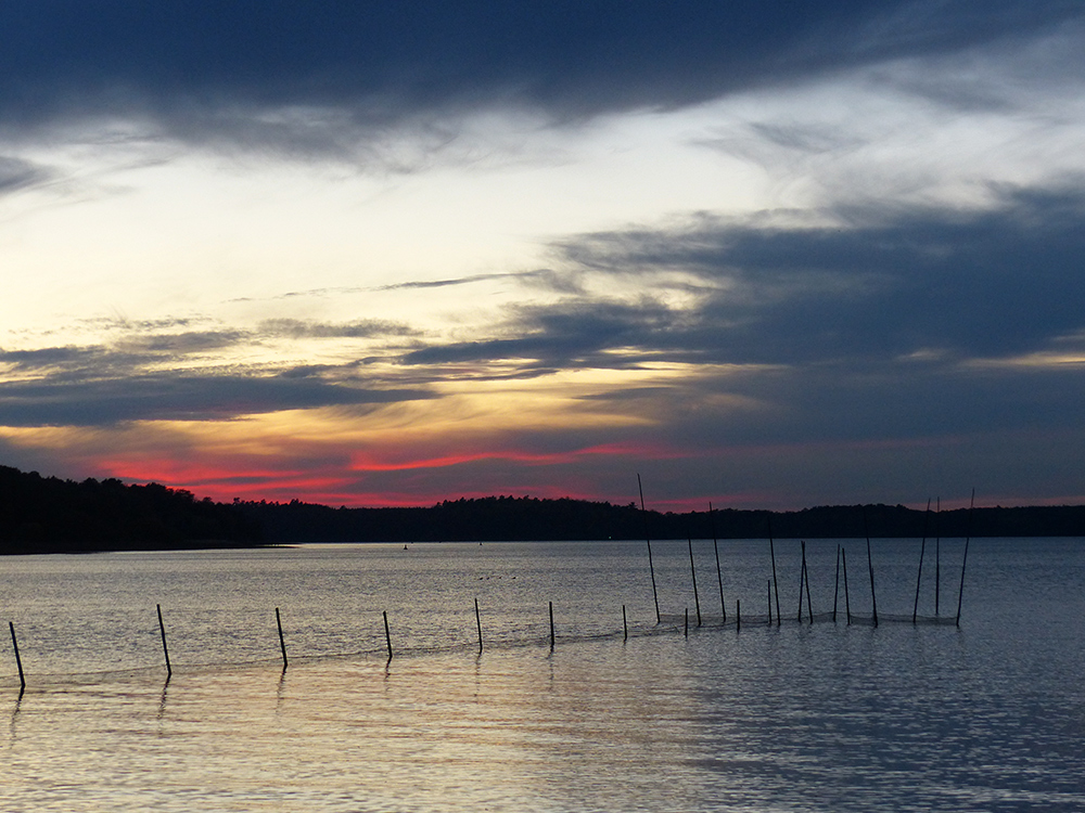 Müritz im Abendrot