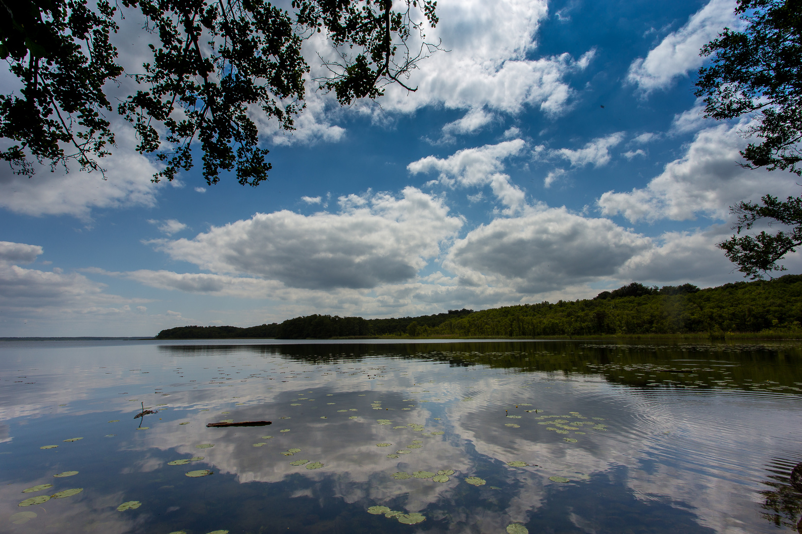 Müritz - Landschaft