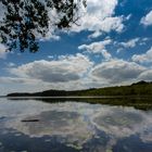 Müritz - Landschaft