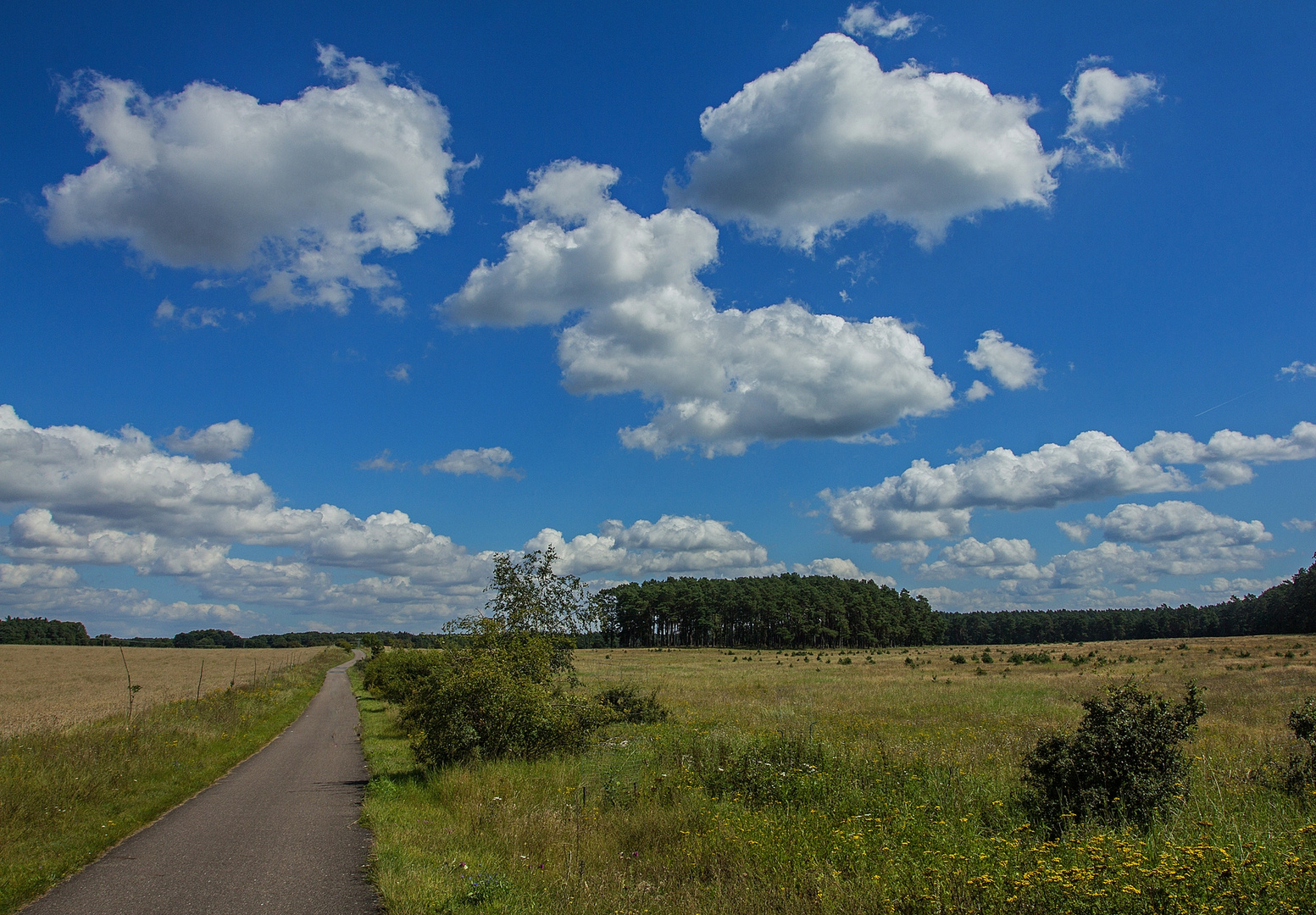 Müritz National-Park