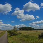 Müritz National-Park