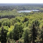 MÜRITZ NATIONALPARK