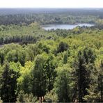 MÜRITZ NATIONALPARK