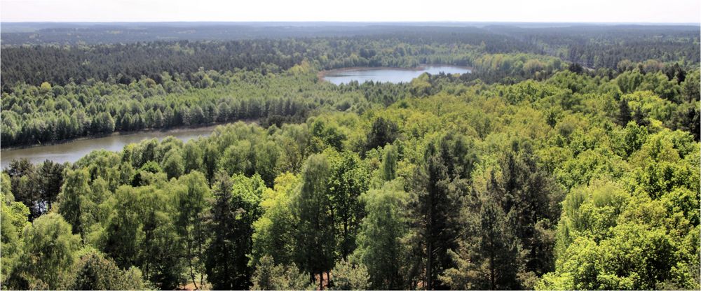 MÜRITZ NATIONALPARK