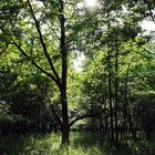 Müritz Nationalpark