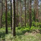 Müritz Nationalpark