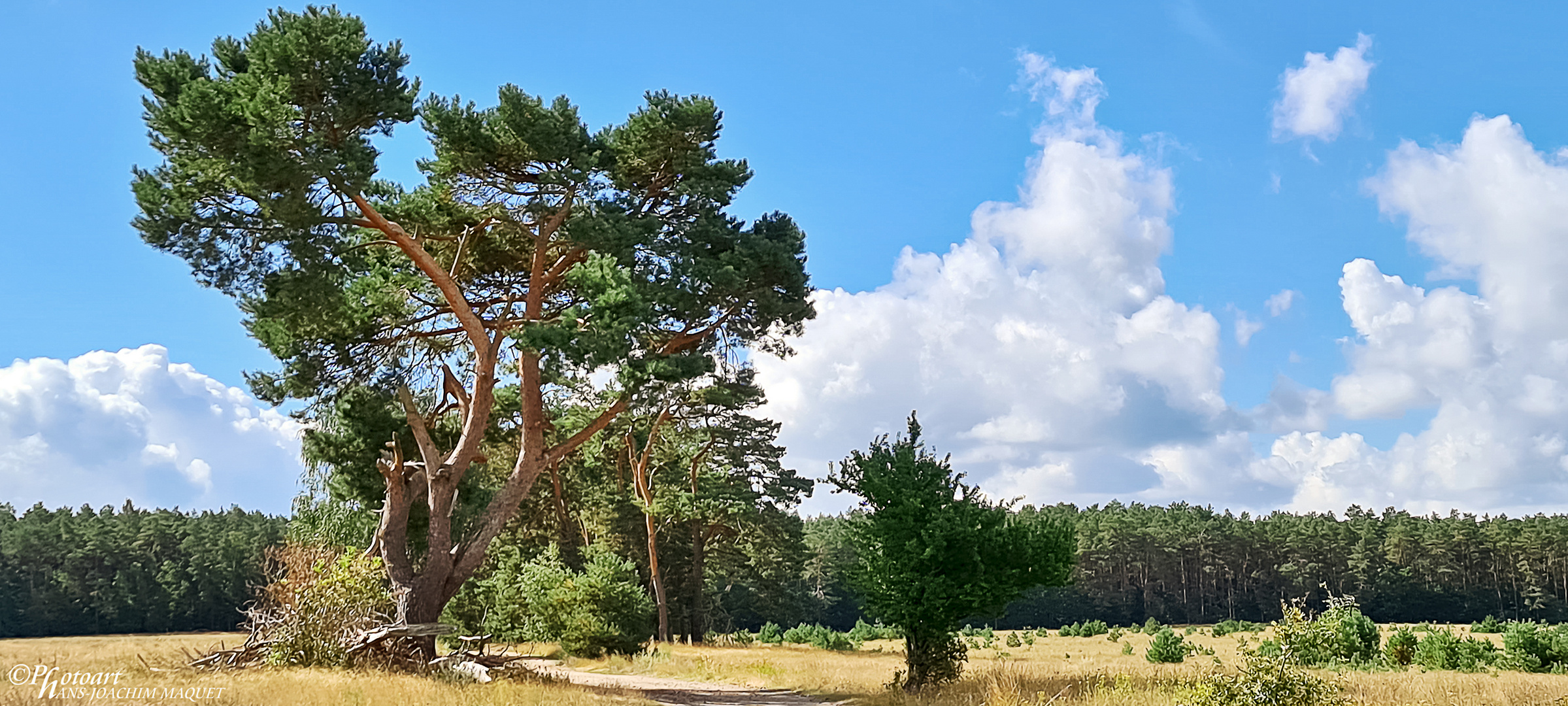 Müritz - Nationalpark