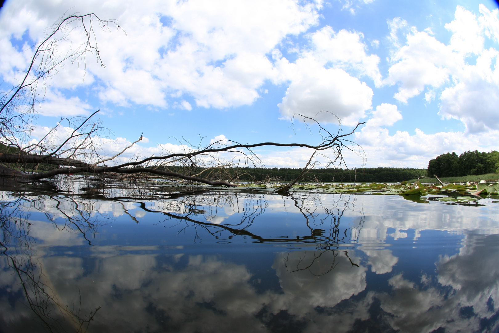 müritz nationalpark