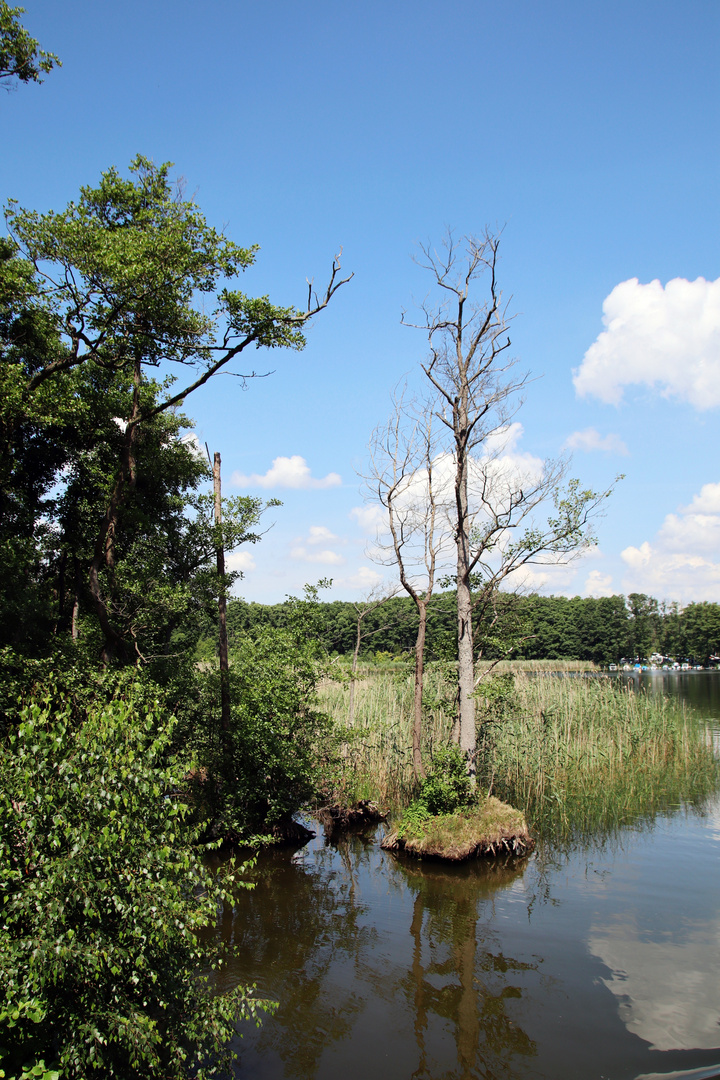 Müritz Nationalpark