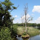 Müritz Nationalpark