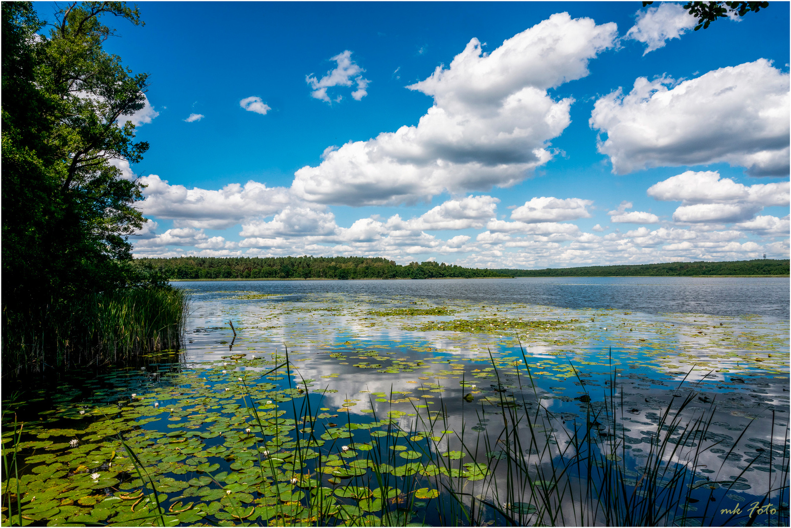 Müritz-Nationalpark