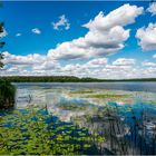 Müritz-Nationalpark