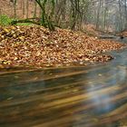 Müritz Nationalpark