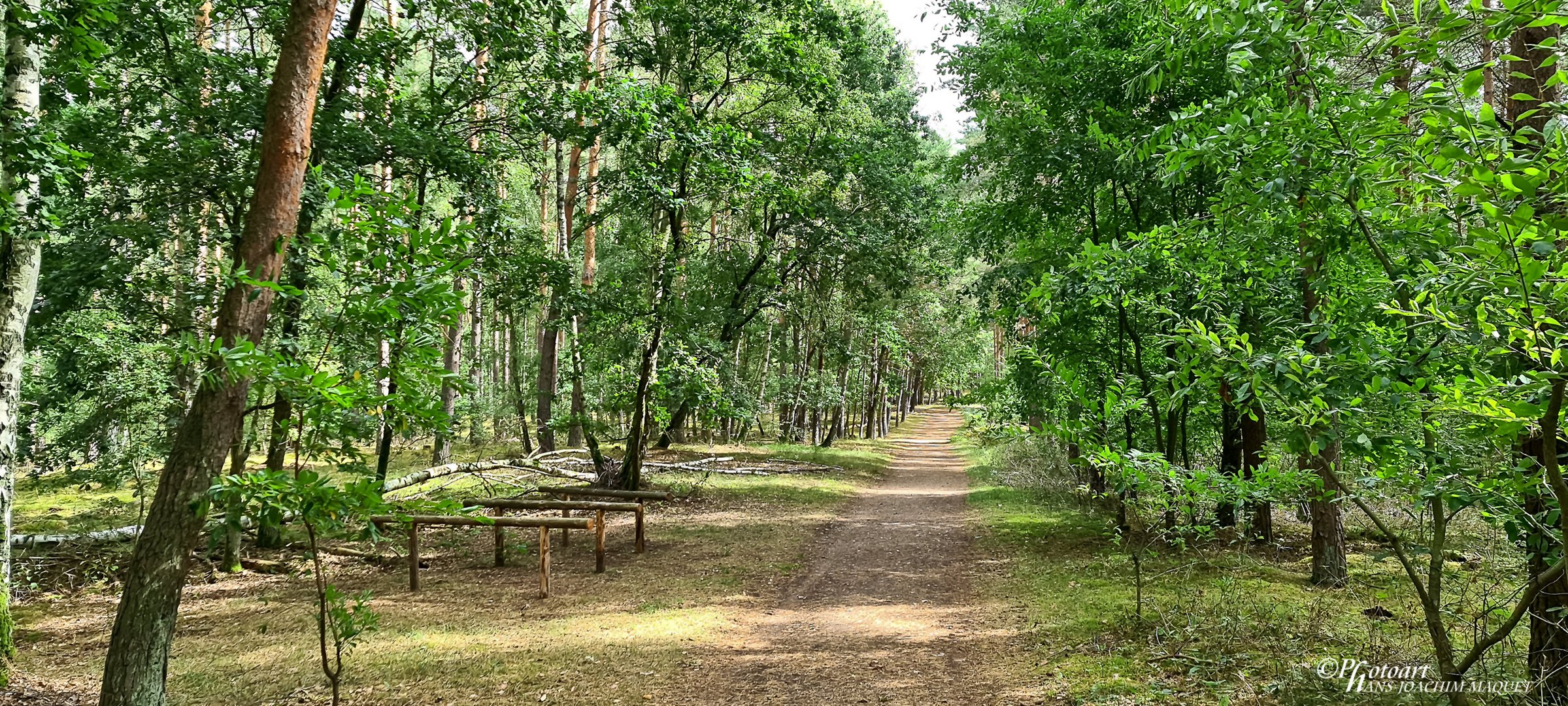 Müritz Nationalpark zum Käflingsbergturm