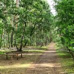 Müritz Nationalpark zum Käflingsbergturm