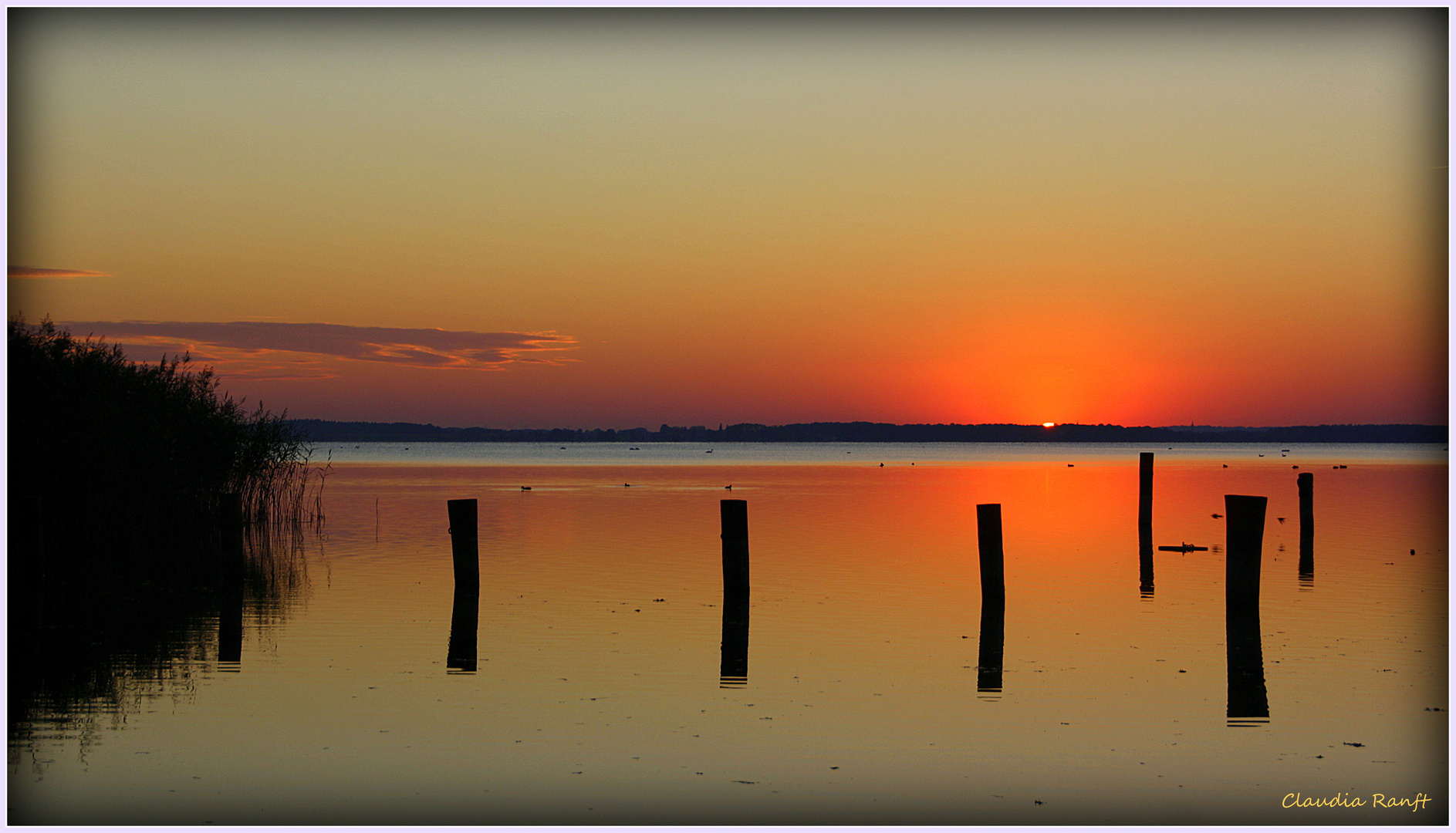 Müritz Oktober 2015