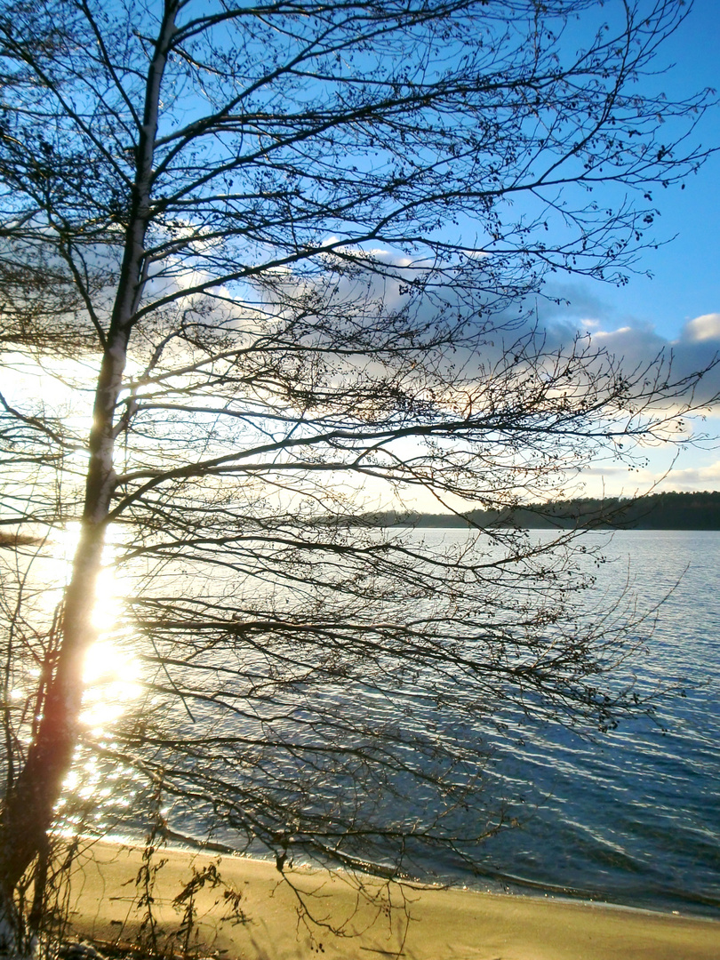 Müritz-See im Müritz Nationalpark