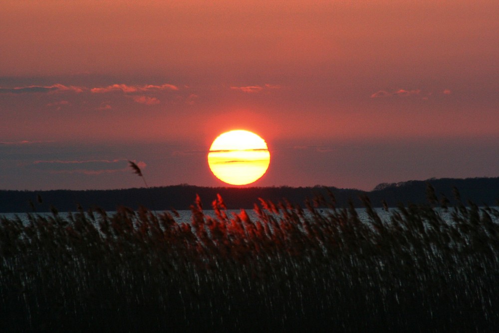 Müritz - Stimmung Sonnenuntergang