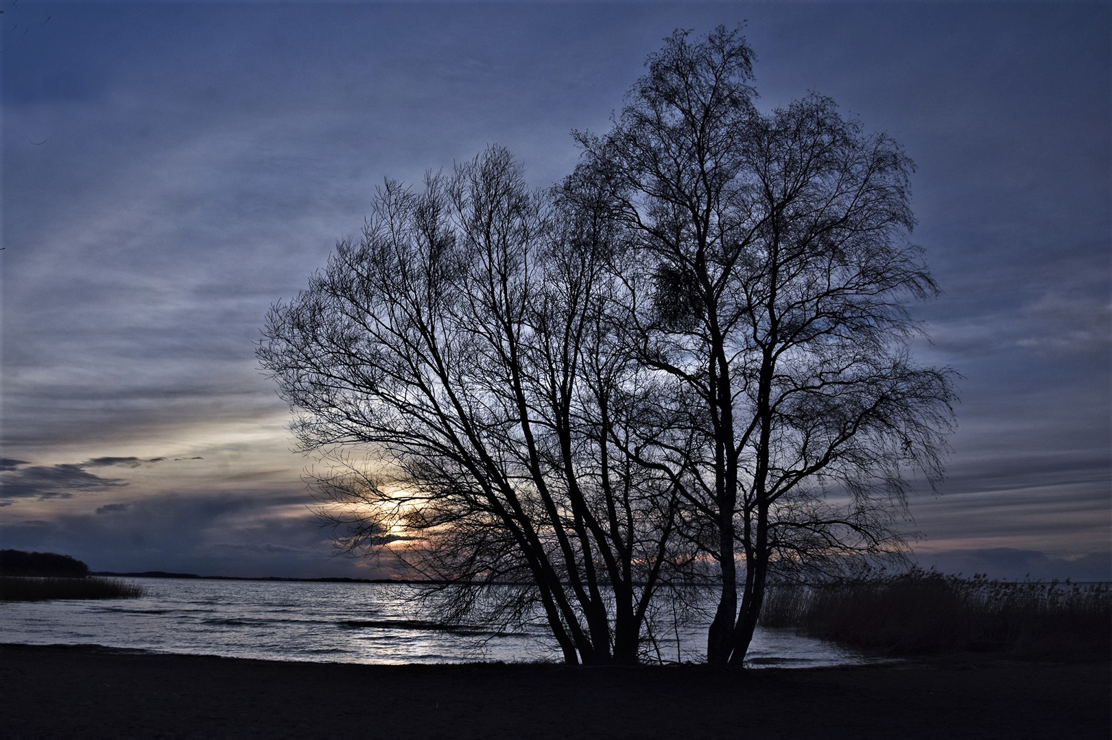 Müritzsee und die blaue Stunde...