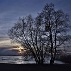 Müritzsee und die blaue Stunde...