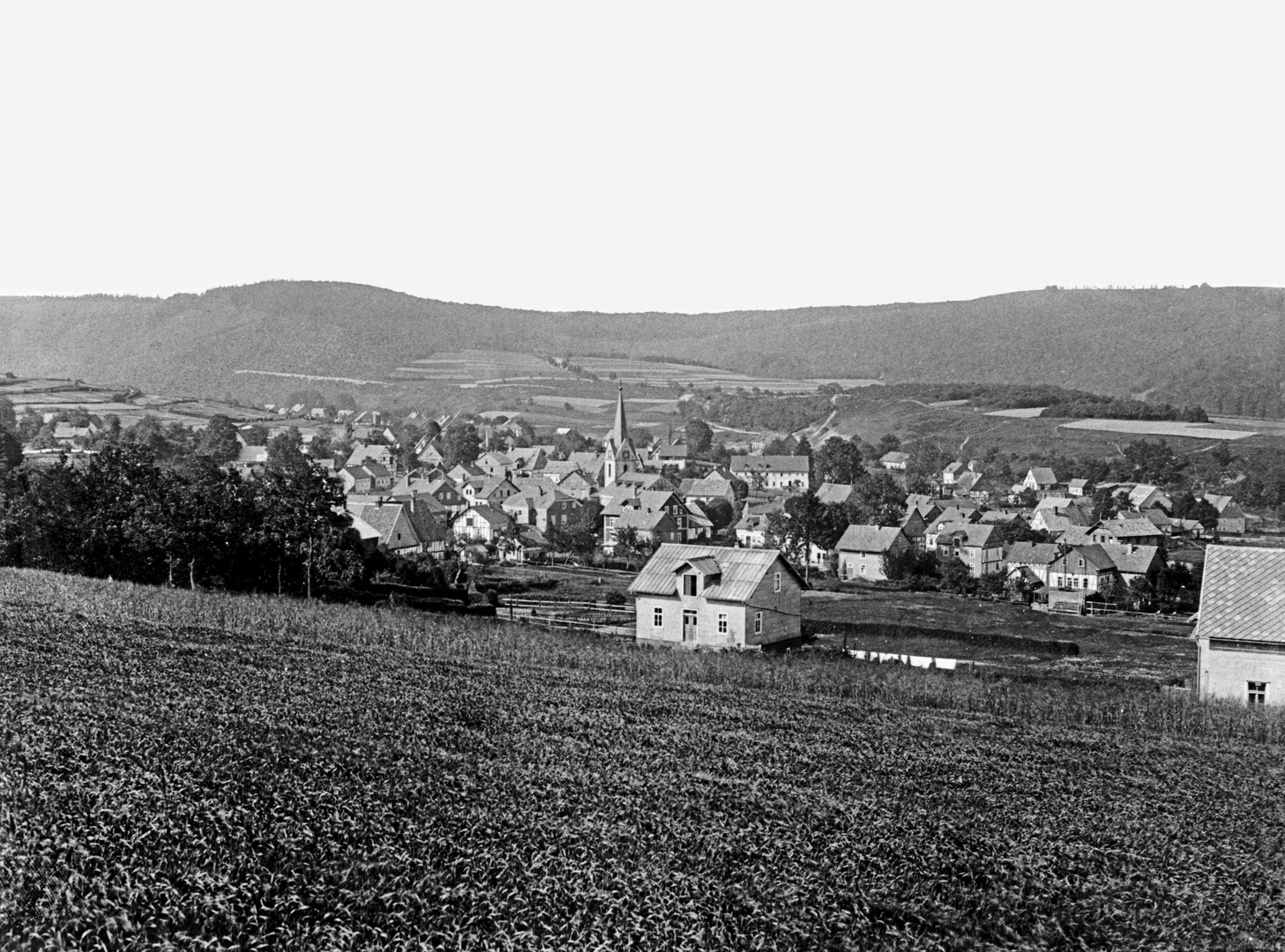 Müsen im Jahre 1910 (dunklere Ausführung)