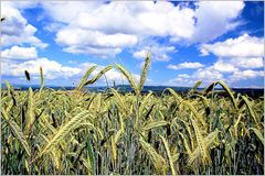 Müsli und Wolken