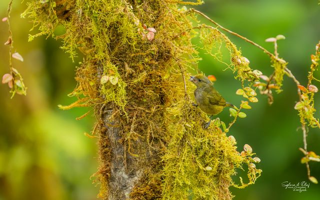 °°_Müsli zum Frühstück_°°