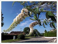 Müsst euch hüten,