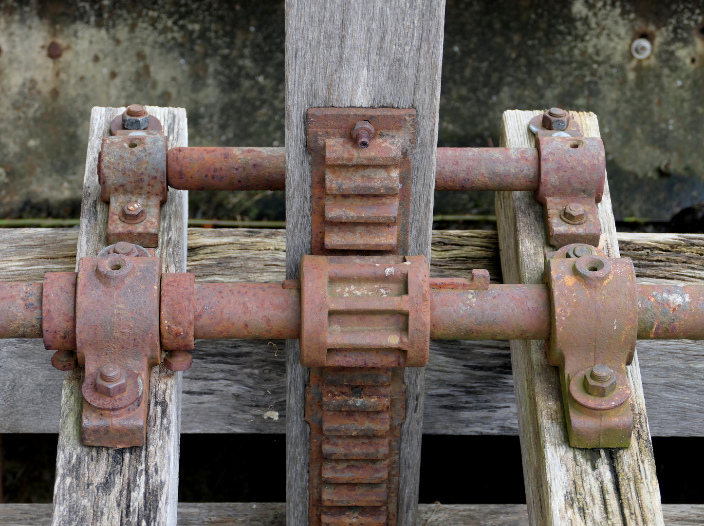 Mütter am Wasserrad an der Schloßmühle