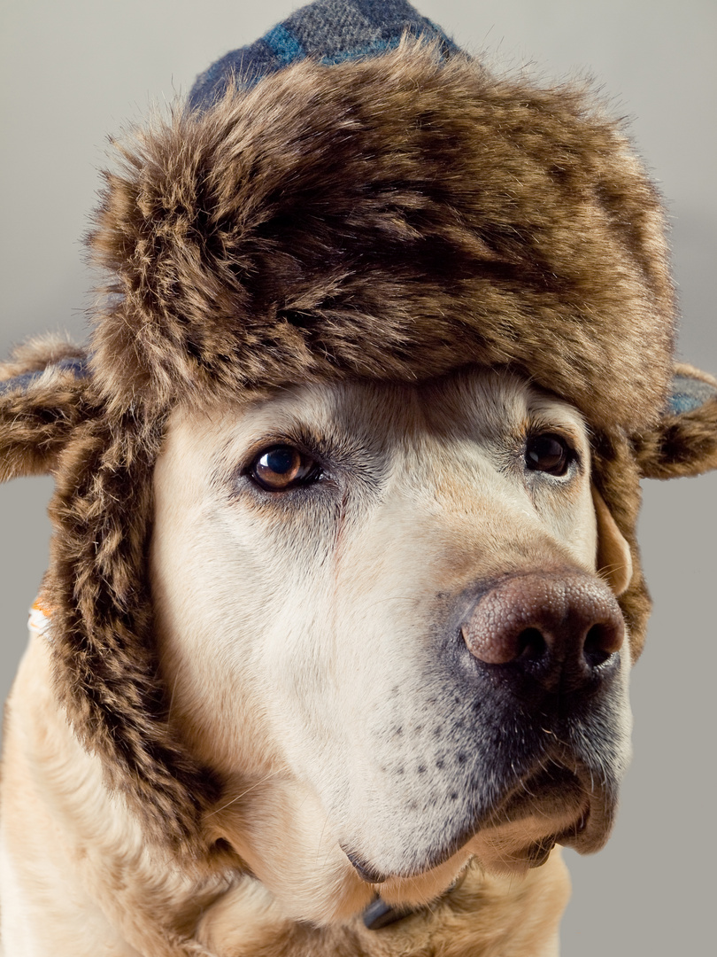 Mütze auf bei diesem Hundewetter