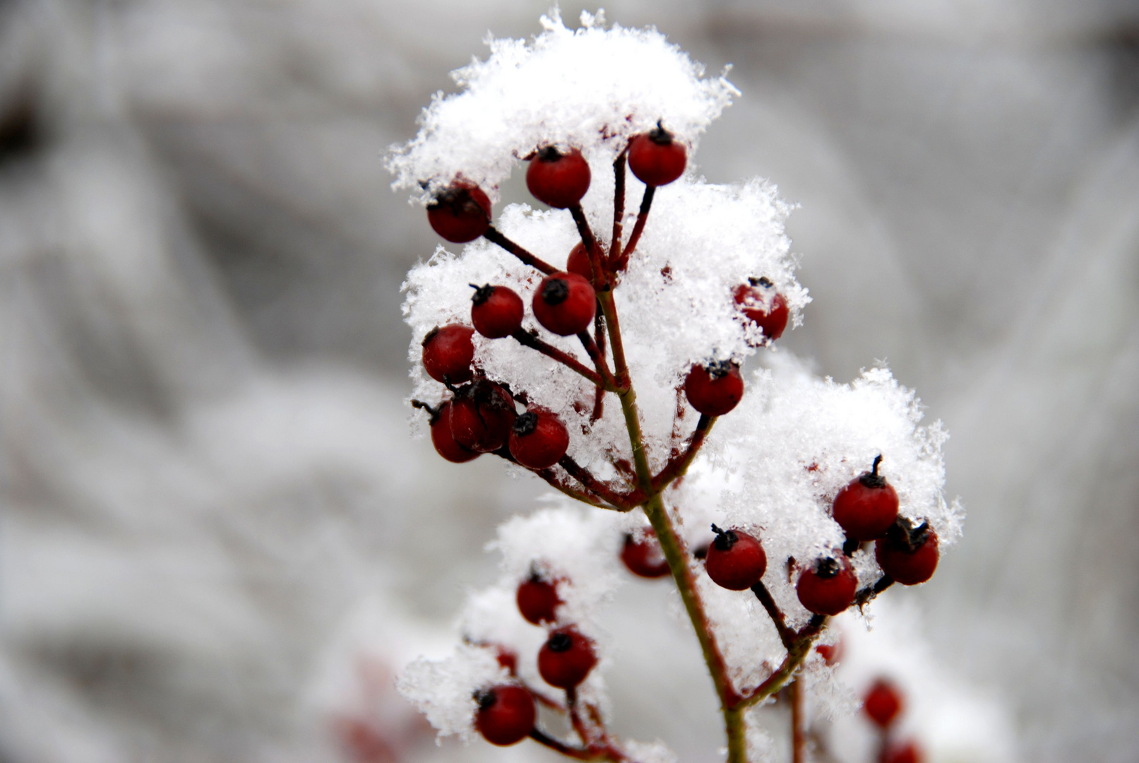 Mütze aus Schnee