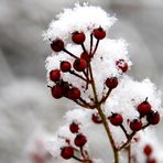 Mütze aus Schnee