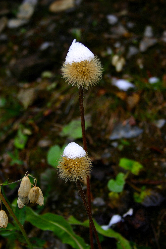 Mütze im September