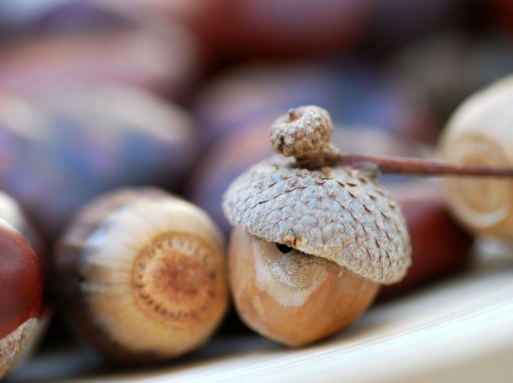 Mütze mit Bommel