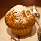 Muffin Mutante