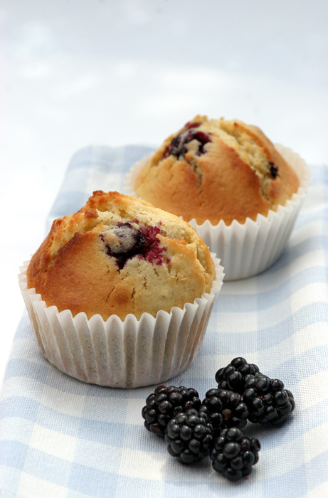 [ Muffins ]