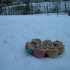 Muffins im Schnee