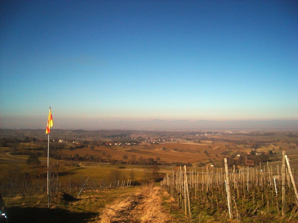 Muggardt - Ausblick auf Frankeich