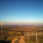 Muggardt - Ausblick auf Frankeich