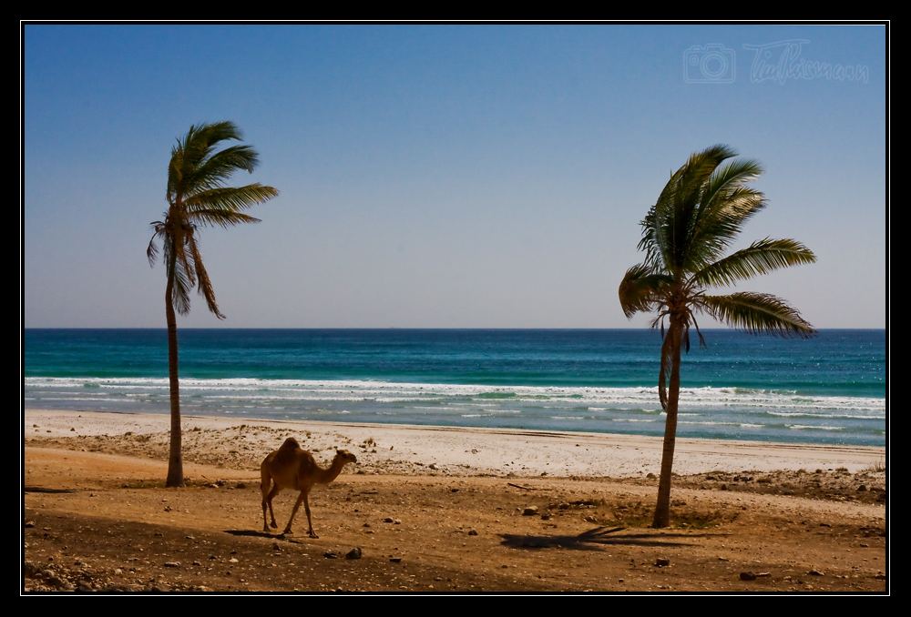 mughsail beach