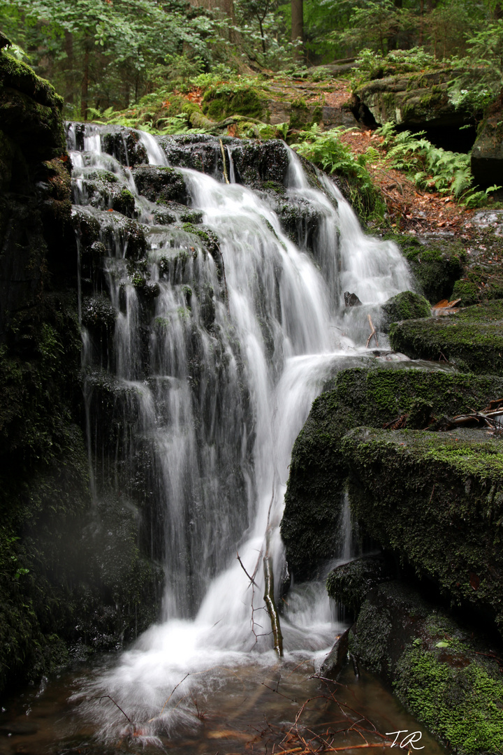 Muglbach in der Oberpfalz