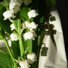 Muguet du 1er mai