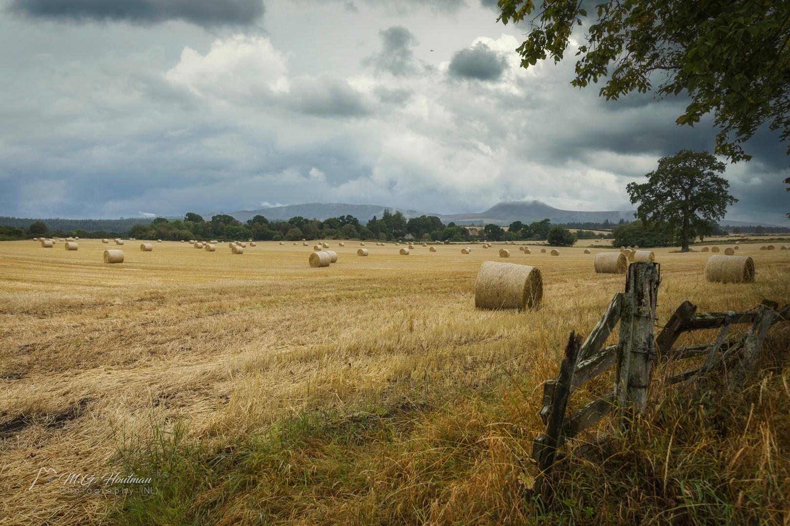 Muir of Ord Scotland Foto & Bild europe, united kingdom & ireland