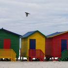 Muizenberg/False Bay