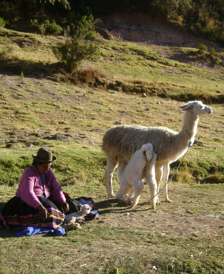 Mujer andina