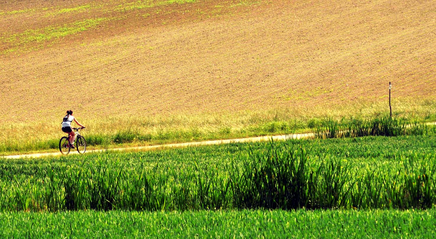 Mujer con Bici