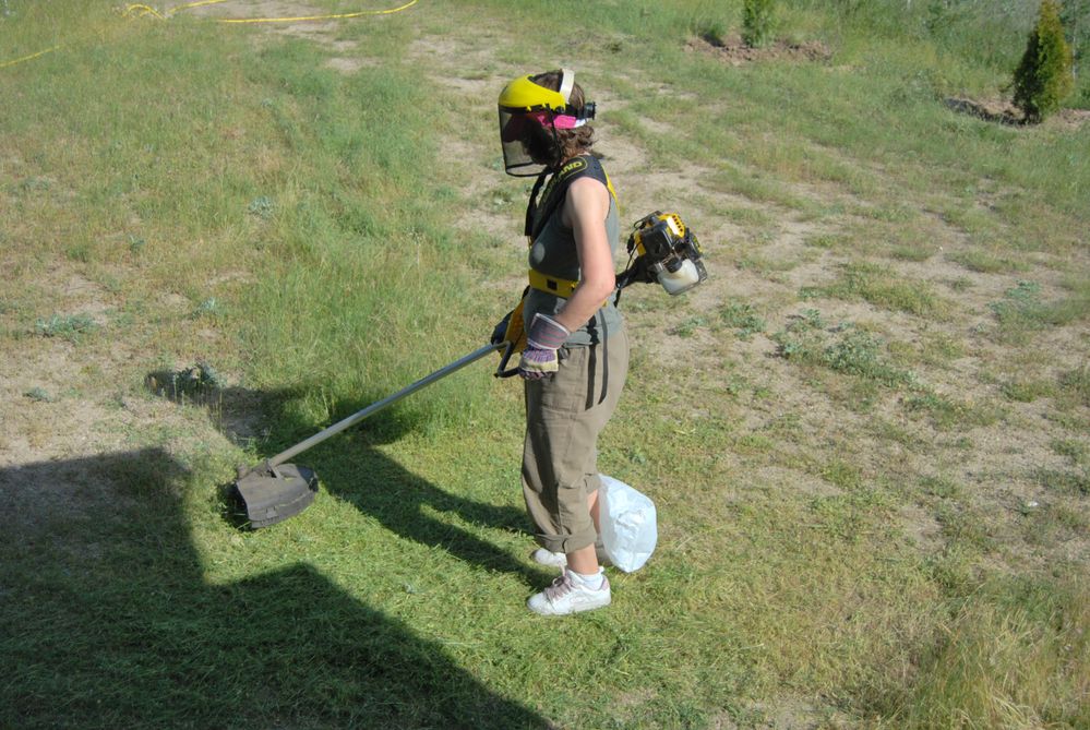 mujer trabajando