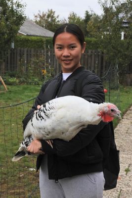 Mulan und der Truthahn