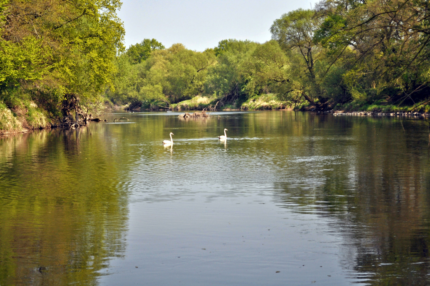 Mulde bei Muldenstein